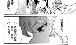 动漫侵犯,揭秘侵权背后的法律纷争